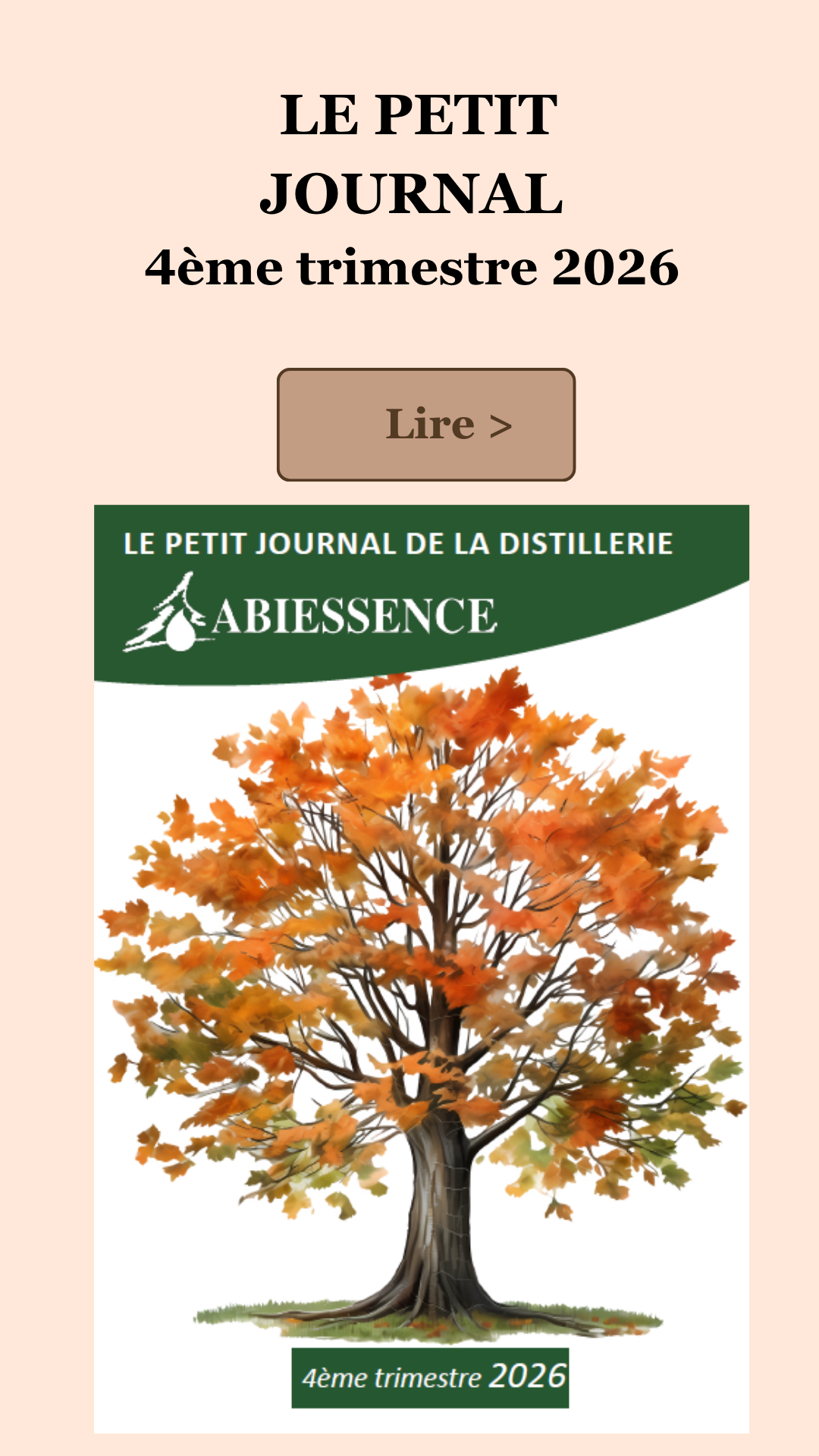 PETIT JOURNAL 4T2025